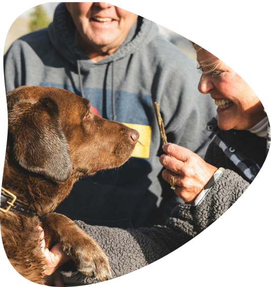 Billede af en hund og to mennesker