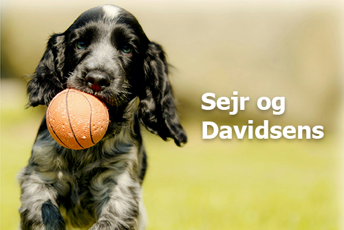 Billede af Sejr og Davidsens til case