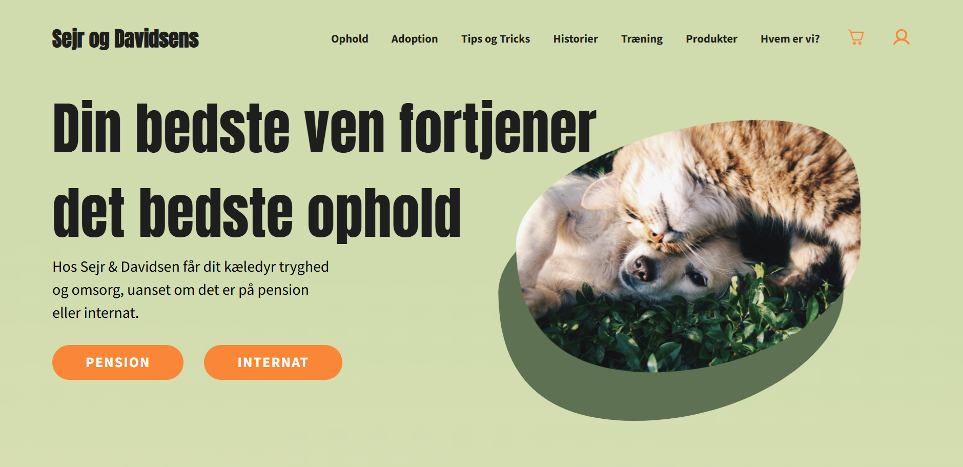 Billede af Sejr og Davidsens nye hjemmeside